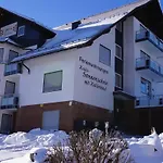 Aritee Sonnenschein Διαμέρισμα Willingen (Upland)