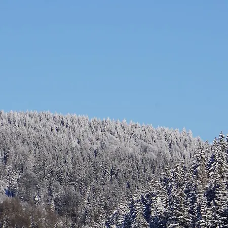 Apartment Aritee Sonnenschein