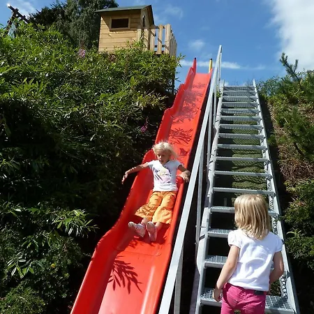 Aritee Sonnenschein *