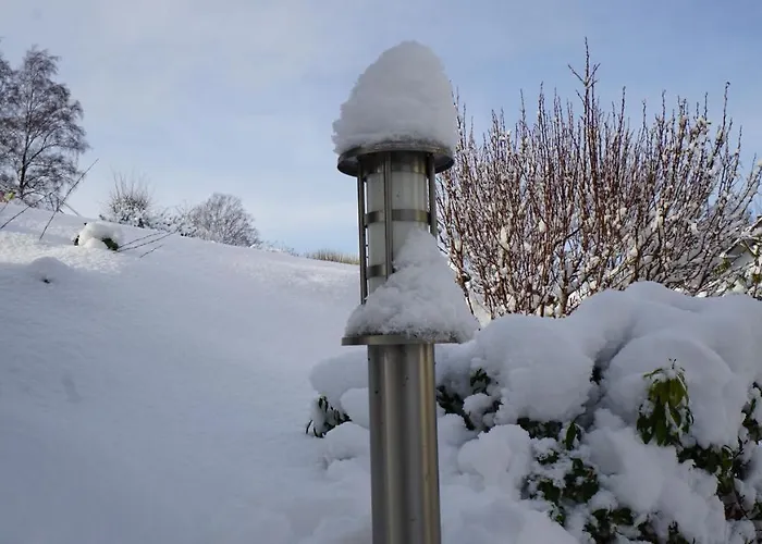 Aritee Sonnenschein * Willingen (Upland)