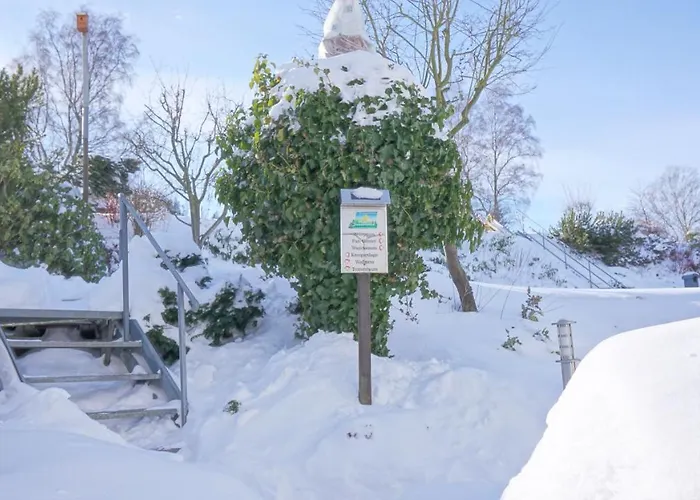 Aritee Sonnenschein *