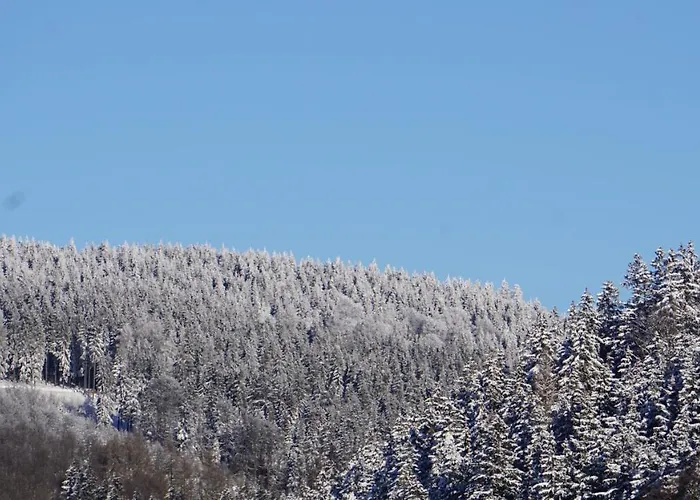 아파트 Aritee Sonnenschein